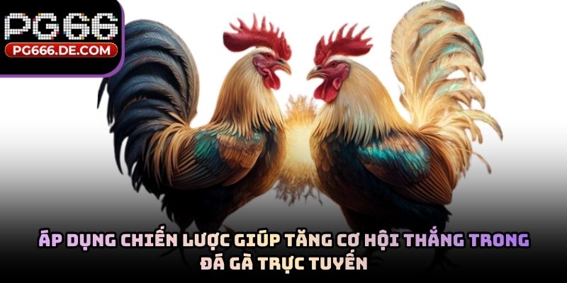 Áp dụng chiến lược giúp tăng cơ hội thắng trong đá gà trực tuyến
