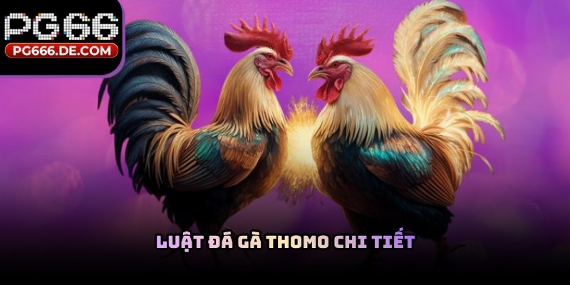 Luật đá gà thomo