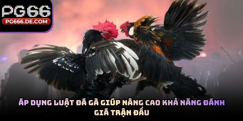 Áp dụng luật đá gà giúp nâng cao khả năng đánh giá trận đấu