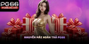 Khuyến mãi hoàn trả PG66