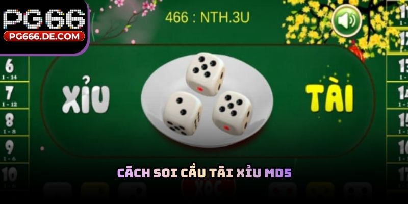 Cách soi cầu tài xỉu MD5