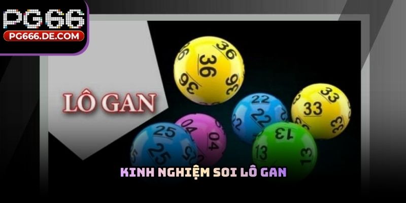 Kinh nghiệm soi lô gan